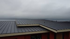 Steel Roofing in Federal Heights, CO